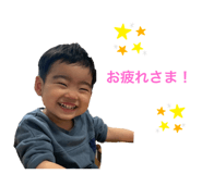 492956313