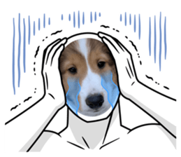492978527