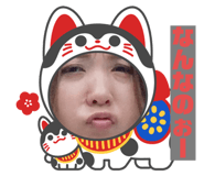 492981126