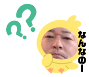 492981136
