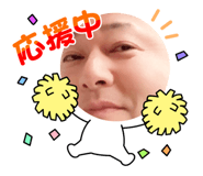 492981141