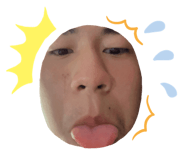 492992262
