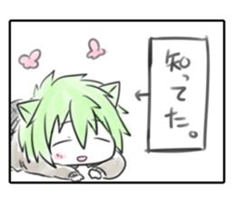 49299954