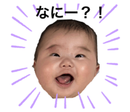 493017695