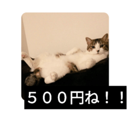 493019709