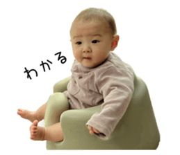 493037804