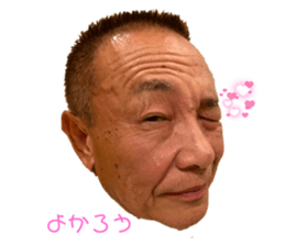 493038068