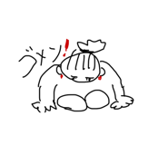 493046032