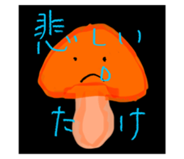 493046553