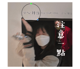 493052604