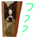 493073007