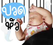 493074379