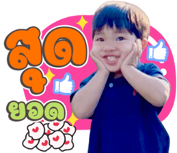 493087511