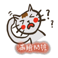 493088884