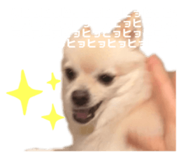 493099634