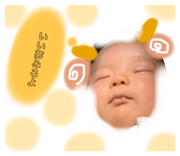 493101313