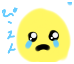 493103345