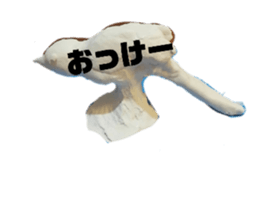 493110690