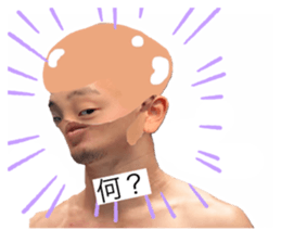 493123727
