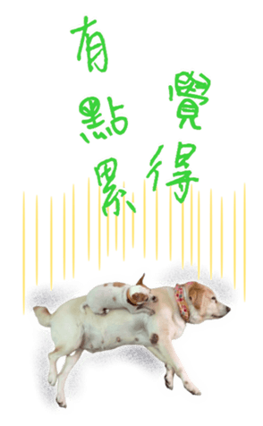 493134969