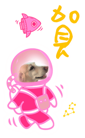 493134985