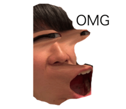 493137047