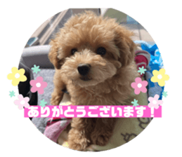 493137666