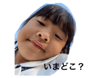 493145759
