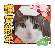 493148838