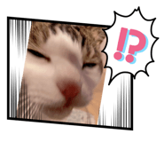 493148843