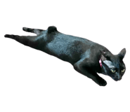 493171930