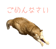 493193857