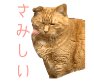 493193860