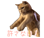 493193868