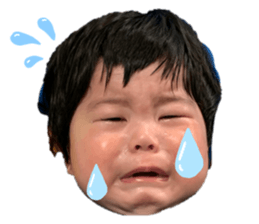 493195195