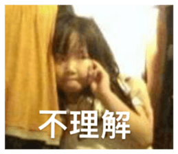 493218306