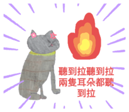 493224309