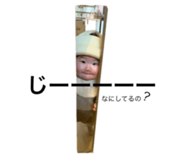 493233392