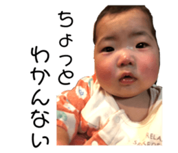 493235029