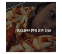493261853