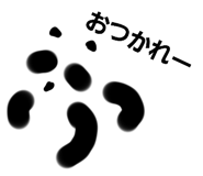 493263191
