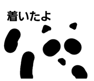 493263195