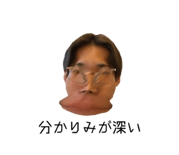493265286