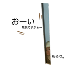493280241