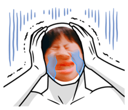 493281558
