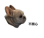 493285464