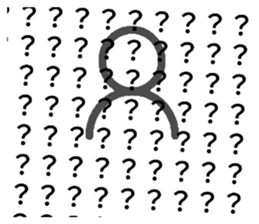 493287282