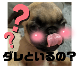 493289345