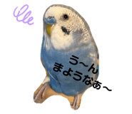 493303246