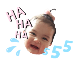 493306575